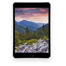 Apple iPad Mini 3rd Generation - WiFi + Cellular