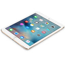 Apple iPad Mini 4th Generation - WiFi Only